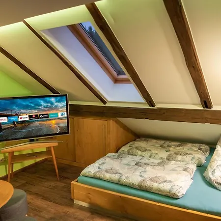 Gemutliche Dach-whg; Smart Tv; Grandioser Ausblick * Bad Elster